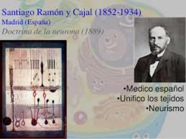 Santiago ramón y Cajal (1889)