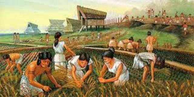 DESARROLLO Y MANEJO DE LA AGRICULTURA