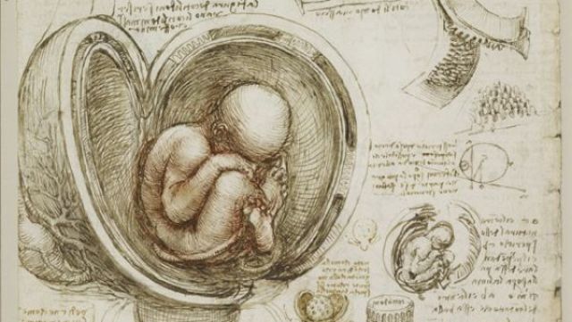 EL INICIO DE LOS PROCESOS, LA COMUNICACIÓN Y LA RAZÓN