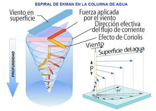 Vagn Ekman “Teorías de la dinámica de las corrientes oceánicas”