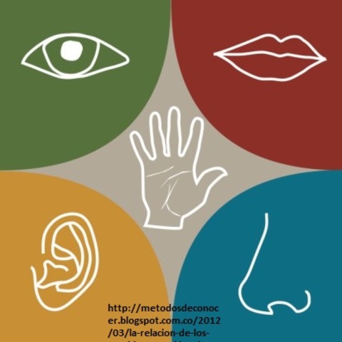 Tipos de conocimiento: Conocimiento Común