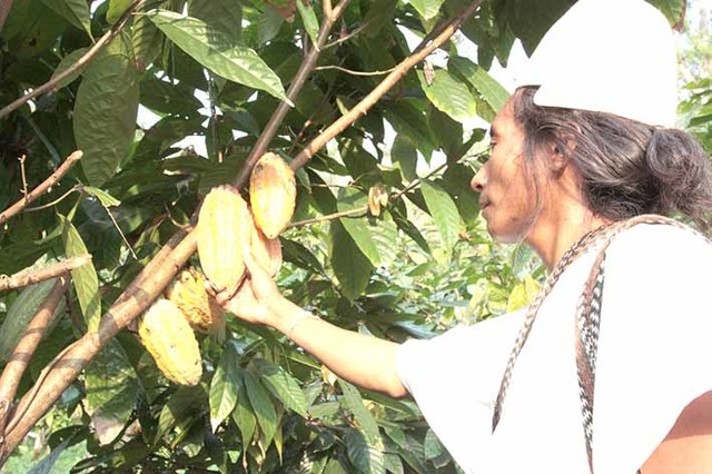 LLEGADA DEL PRIMER PUEBLO A LA SIERRA NEVADA