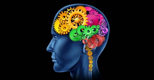 Sistema Nervioso (360 millones de años)