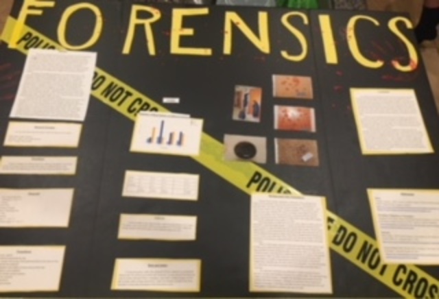 un proyecto de ciencias