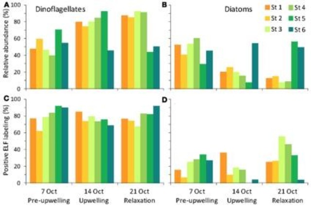 Nacimiento de los Modelos Oceánicos