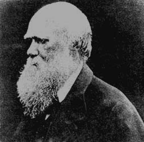 Darwin a bordo del HMS Beagle