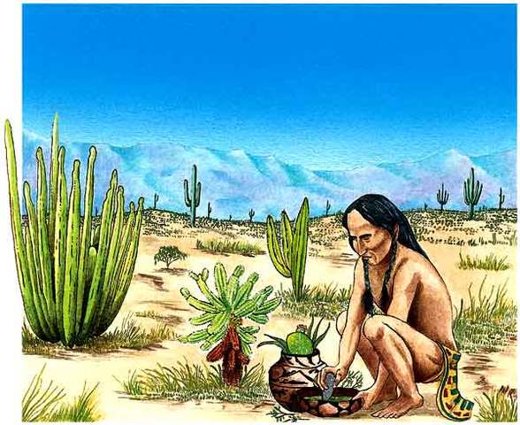 ÉPOCA FORMATIVA (1500 A.C - 300 D.C.)