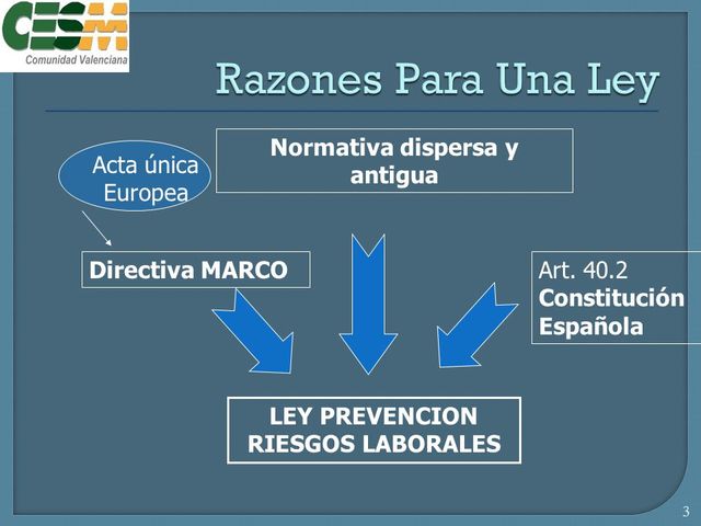 Directiva Marco Europea de prevención de riesgos laborales