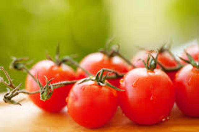 Primera aprobación de un producto completo producido por biotecnología: tomate FlavrSavr (C)