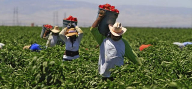 Migración de Pueblos Agricultores