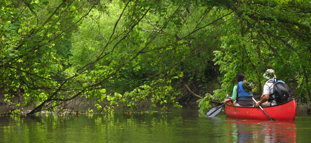 La Organización Mundial del Turismo definió