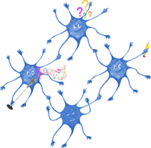 El surgimiento de la primera agrupación neuronal