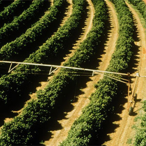 Inicio de proyecto en la finca materna