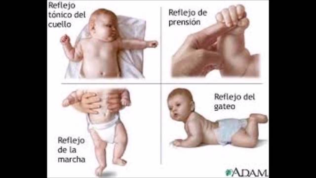 el condicionamiento y la reflexologia rusa