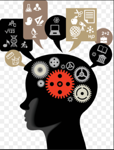 Objeto de Conocimiento