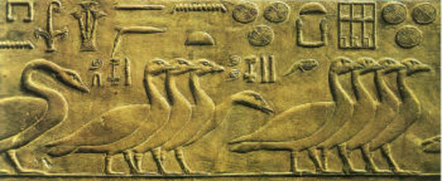 Reinado de Ramsés II (Egipto)