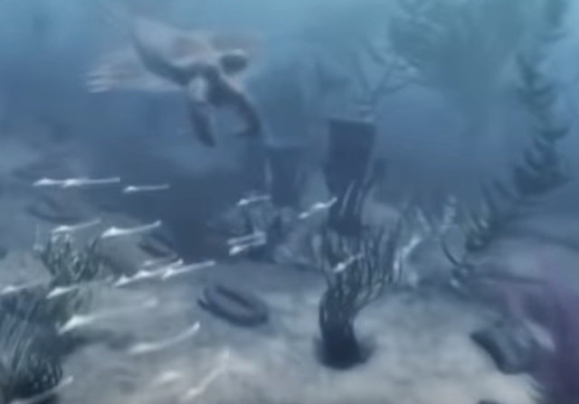 los animales vertebrados