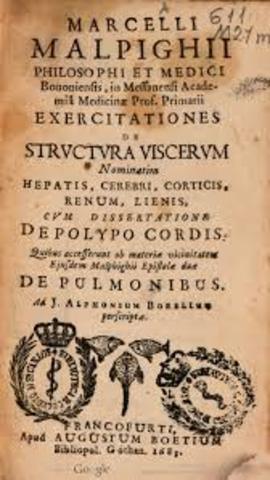 Año en que se publica el opúsculo de Malpighi, De lingua