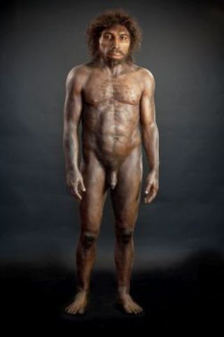 Homo Sapiens Sapiens