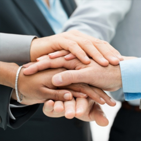 Programa o Plan de acogida