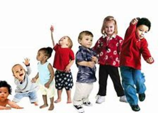 Teoría del Desarrollo Cognitivo