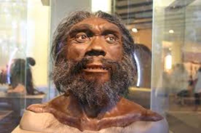 HOMO HEIDELBERGENSI