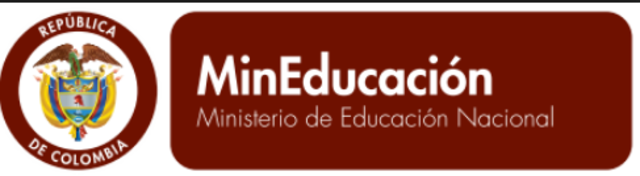 Conceptualización de RED