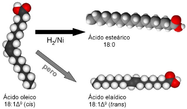 Se realizan estudios sobre la Hidrogenación