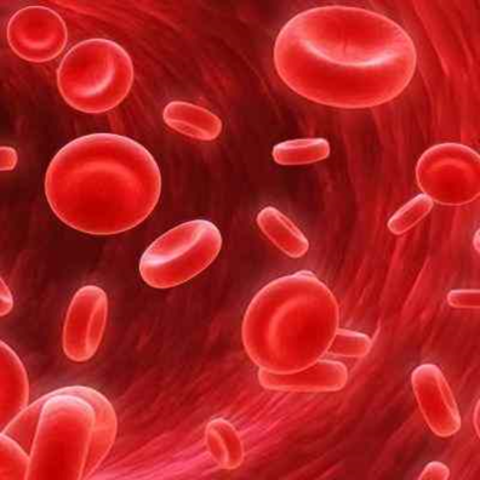 Marcello Malpighi: glóbulos rojos