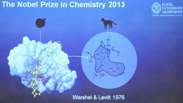 Se desarrollaron modelos multiescala para sistemas químicos complejos