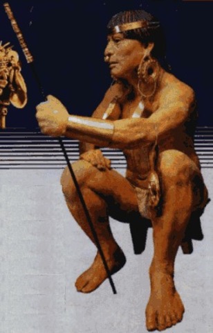 instrumentos licitos