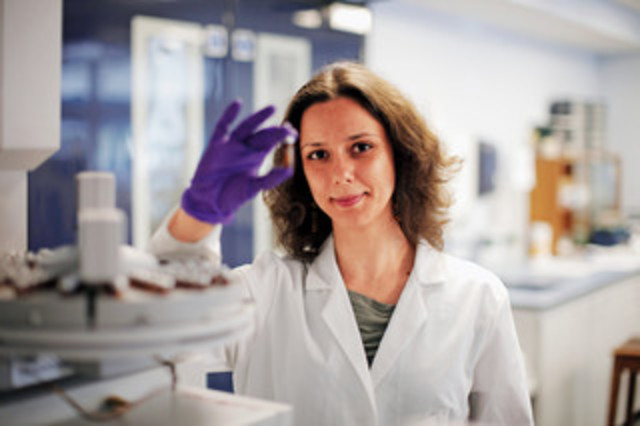 2017 - Researcher, Instituto Superior Técnico (Portugal),