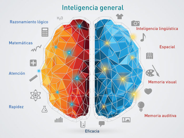 Test de inteligencia
