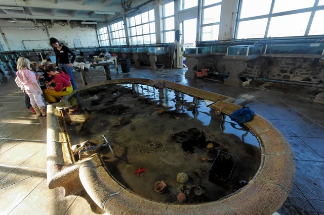 Estaciòn Biològica