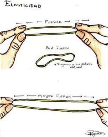 BOYLE (elasticidad y presión)