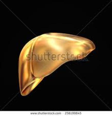 The gold liver (evil dads)