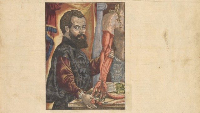 Andres Vesalio