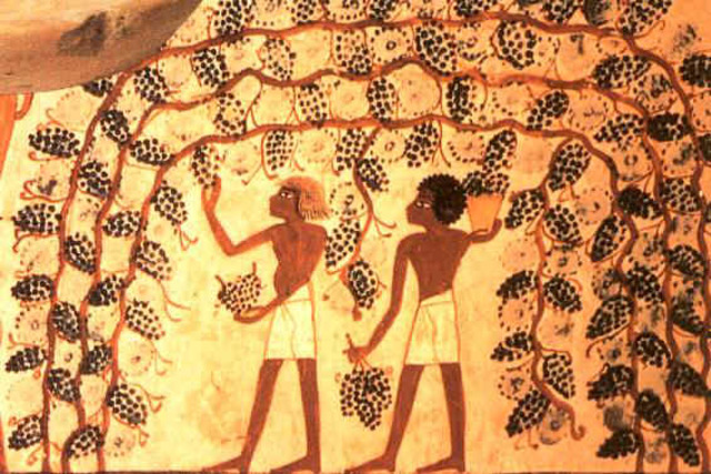 Libro de Ptaat- Hotet