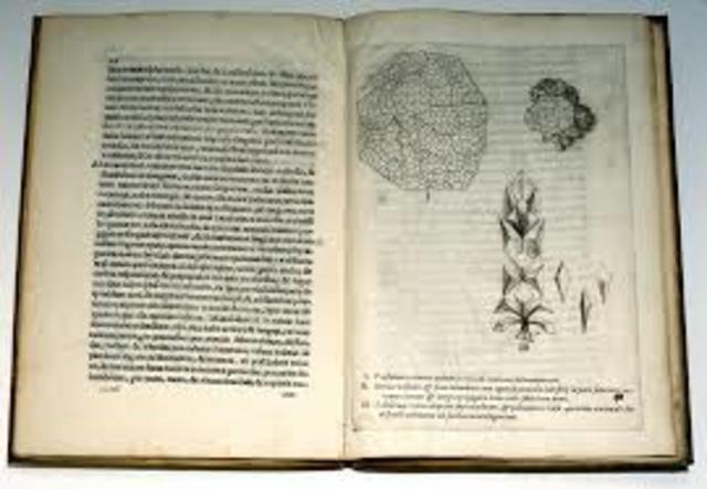 Marcelo: De pulmonibus