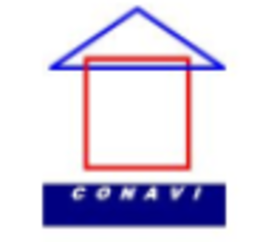 Creación del CONAVI