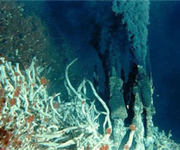 Descubrimiento de respiraderos térmicos de aguas profundas