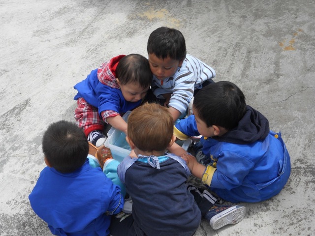 Los primeros colegios para la educación inicial.