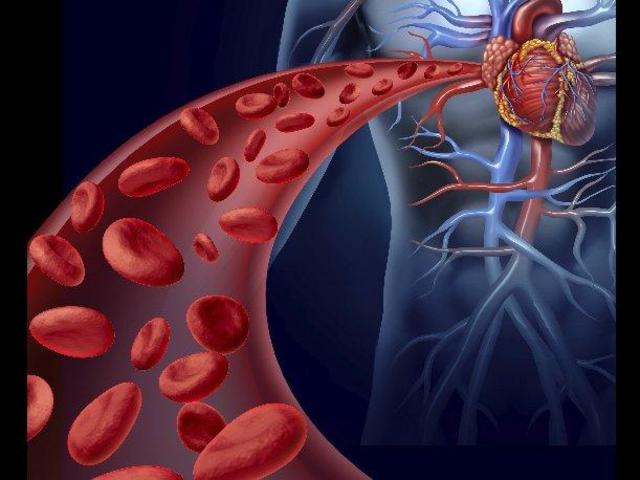 Descubrimiento circulación de la sangre