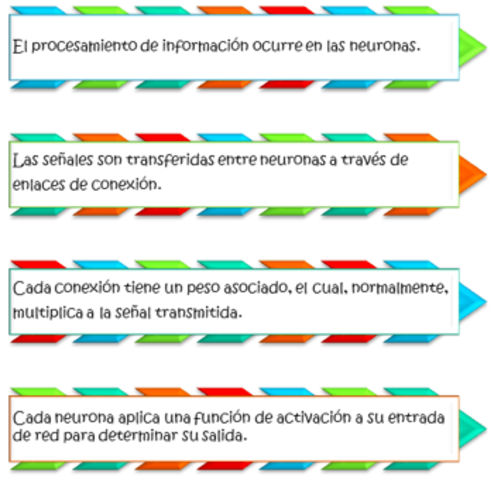 Semejanzas entre las ANN y las redes neuronales biológicas.