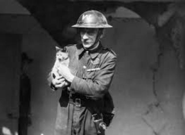 Wannsee Conference  "FINAL SOLUTION"