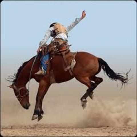 rodeo