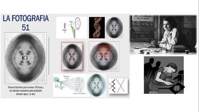 Rosalind Franklin y la fotografia 51