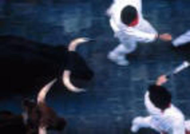 Pamplona Bull Running Continued