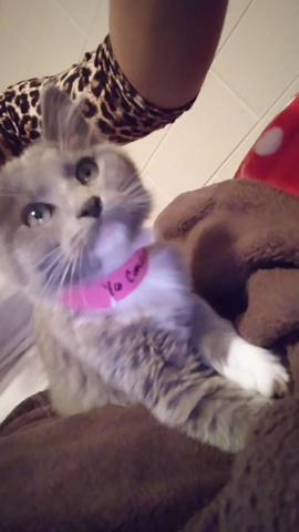 Our first Pet together