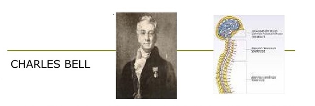 Charles Bell (1774- 1842)
